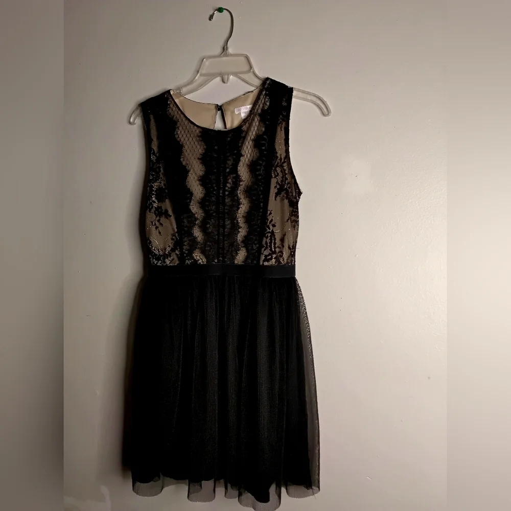 Elegant Black Lace Dress - Picture 2 of 3